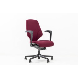 Giroflex 64 Office Chair 2D Armrests