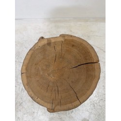 Boomstam bijzettafeltje massief hout design