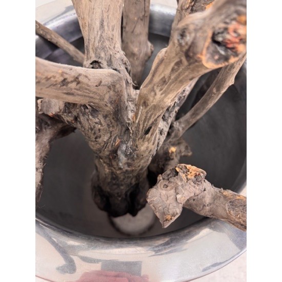 tweedehands - gebruikt - refurbished Aluminum conical plant pot 120 cm high Armchair