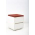 Palmberg Orga Plus drivable cabinet  with 2 drawer