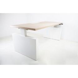 Vepa/Drentea Custom-made Pendulum Adjustable Desk